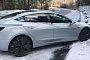 Tesla Model 3 Loses Snow Fight, Another Hits Deer at 45 MPH in First Crashes