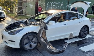 Tesla Model 3 Owner Begs Elon Musk To Investigate Fire in His Car