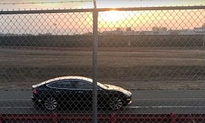Tesla Model 3 Performance Dual Motor Allegedly Spied Doing Acceleration Run
