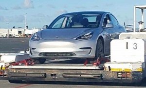 Tesla Model 3 Spottings Go Abroad, Upcoming EV Seen in New Zealand