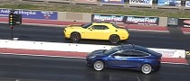 Tesla Model 3s Drag Camaro ZL1, Challenger Hellcat, Old Muscle and Don't Win All