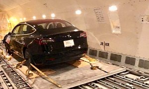Tesla Model 3s Heading to Germany Look like Lambs to the Slaughterhouse