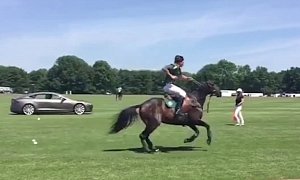 Tesla Model S P85D Races a Polo Pony, That Must be a First