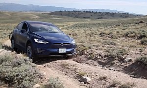 Tesla Model X Off-Road Trip Ends for the Most Absurd of Reasons