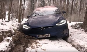 Tesla Model X Snowy Off-Road Incursion Turns Very Expensive Very Quickly