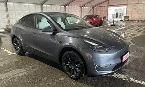 Tesla Model Y Arrives in the UK, Right-Hand Models Spotted in the Wild