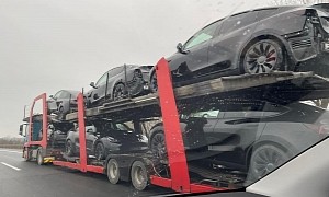 Tesla Model Y Performance Cars Spotted Leaving Gigafactory Berlin on a Trailer