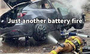 Tesla Model Y's Battery Spontaneously Combusts in Oak Creek Canyon, What Caused It?