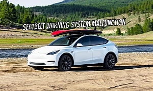 Tesla Recalls 125,000 Vehicles Over Seatbelt Warning System Malfunction