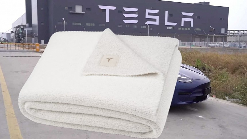 Tesla's Ludicrously Cozy Throw