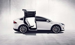Tesla Seeks Court Ruling in Row with German Supplier over Model X’s Falcon Doors