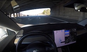 Tesla with FSD Beta Avoids Plastic Bag, Some People Mistake It for a Good Thing