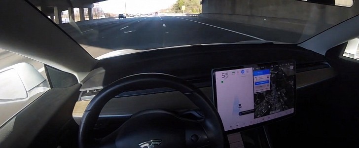Tesla Model 3 on Autopilot FSD Beta avoids... a bag