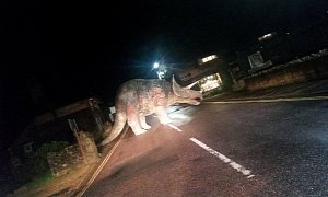 That Moment When the Road Is Blocked by a Dinosaur