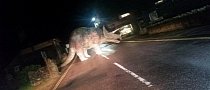 That Moment When the Road Is Blocked by a Dinosaur
