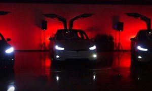 That Moment When the Tesla Model X Went Totally Crazy All by Itself