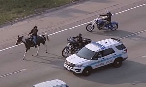 That’s a First: Horse Rider With Motorcycle Convoy Stops Traffic on Expressway