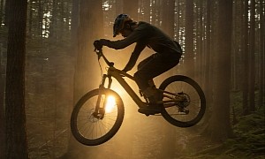 The Best Electric Mountain Bikes of 2024