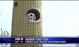 The Cact-Eye Is Watching and You Probably Have No Clue It Does