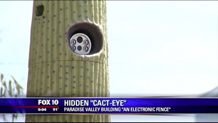 The Cact-Eye Is Watching and You Probably Have No Clue It Does