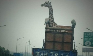 The Chinese Show Us the Proper Way to Transport a Giraffe