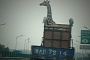 The Chinese Show Us the Proper Way to Transport a Giraffe