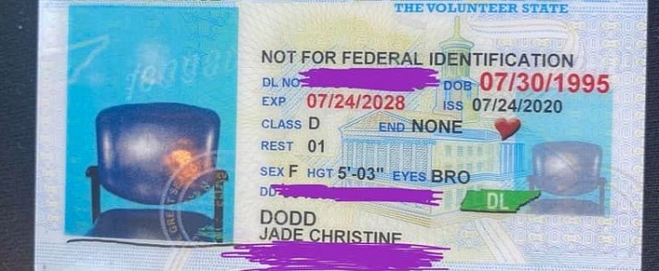 Driver's license with picture of empty chair issued by a Tennessee DMV