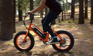 The "Element" from Pedego Is a Powerful, Inexpensive E-bike that Wants It All