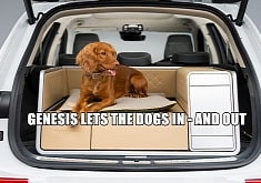 The Genesis X Dog Concept Brings Luxury Vanlife to Your Best (Furry) Friend