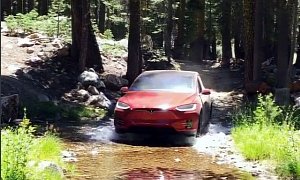 The Last Thing You'd Expect to Find in the Woods Is a Tesla Model X