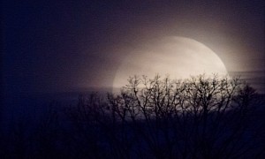 The Longest Full Moon Night of the Year Is Coming Tomorrow