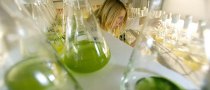 The Mexican Manhattan Project: Algae Biofuel