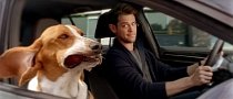 The Only Cute Thing in This Volkswagen Golf GTI Commercial Is the Dog