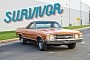 The Original Owner Sold This 1971 El Camino After Two Years, Still an Amazing Survivor
