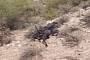 The “Scary” Army Robot Dog Gets an Autonomous Tail to Help It Swim at 3.4 MPH