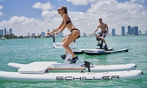 The Schiller S1-C "Catamaran" Could Be the Perfect Summer Gift for Your Lovable Cyclists