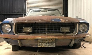 There’s No Way to Sugar-Coat This 1967 Ford Mustang Barn Find