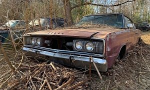 These Abandoned First-Generation Dodge Chargers Are Really Painful to Watch