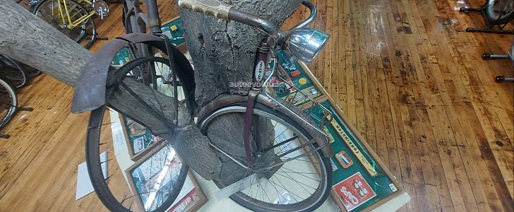 Bicycle Tree Bicycle Heaven 
