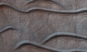 These Apparent Martian Sandworms Use Wind to Organize Themselves