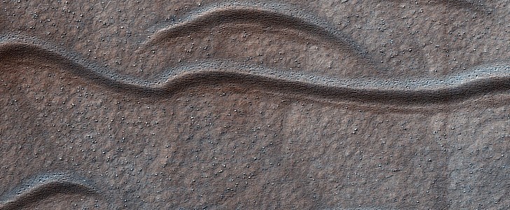 Sandworm-like features in the Terra Cimmeria region of Mars