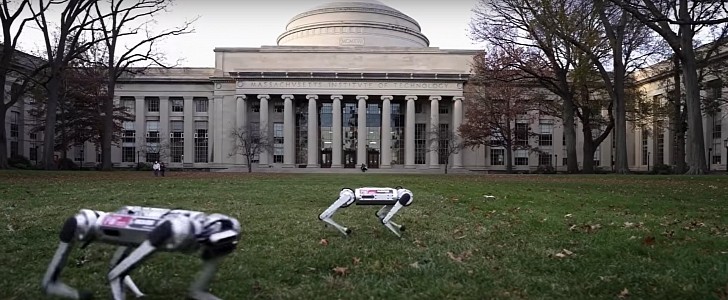 The MIT mini cheetah doing synchronized backflips are definitely scary.