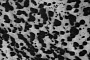 These Eerie-Looking Dark Patches on Mars Look Like Cheetah Spots
