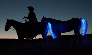 These People Make LED Tail Lights for Your Horse