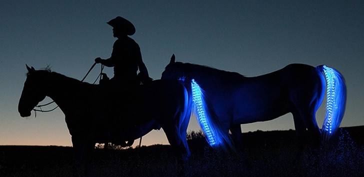 LED Tail Lights for Your Horse