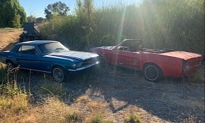 These Two 1967 Ford Mustangs Parked in a Field Won’t Go Anywhere Alone