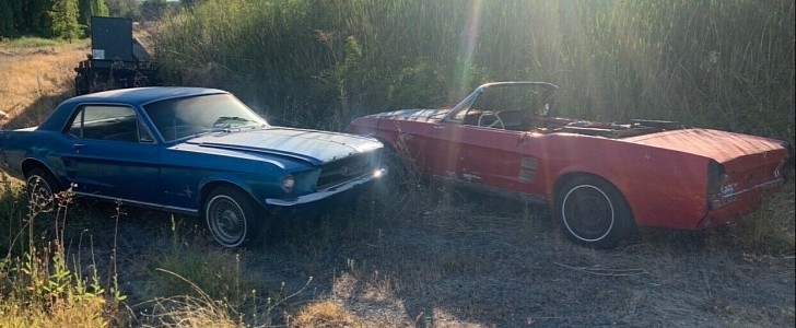 1967 Ford Mustangs