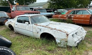 These Two 1978 Pontiac Trans Ams Are Just Rotting Away Alongside Other Classic Cars
