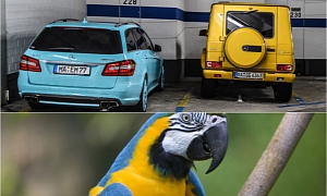 These Two 63 AMG Models Are Like a Macaw Parrot