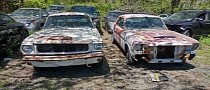 These Two Mysterious 1966 Mustangs Rock a Junkyard, Mixed News Under the Hood